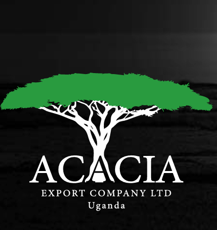 ACACIA EXPORT COMPANY